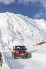 Mercedes-Benz G350 d AMG Line 2019 года (WW)